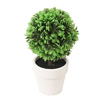 6.75" Premade Green Boxwood Ball Topiaries in Plastic Pots, 3ct. by Ashland®