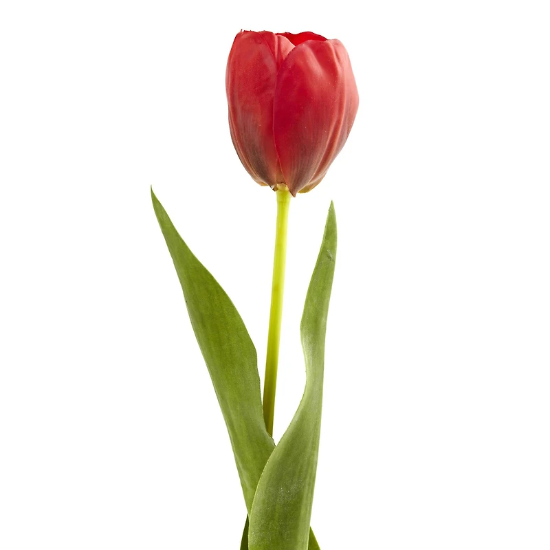 Red Tulip Stems, 8ct.