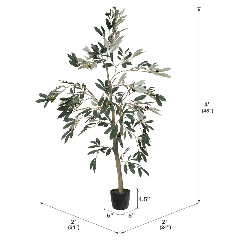 4ft. Potted Olive Tree