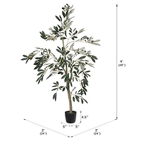 4ft. Potted Olive Tree