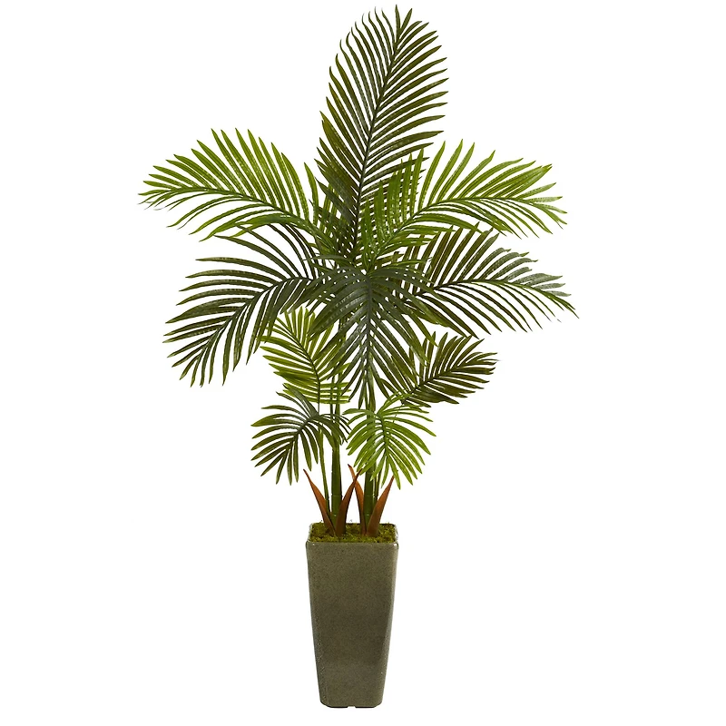 5ft. Areca Palm Tree in Green Planter