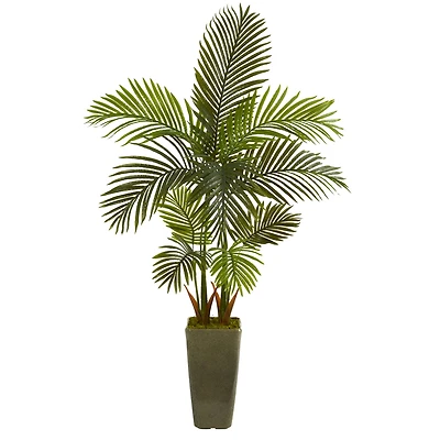 5ft. Areca Palm Tree in Green Planter 