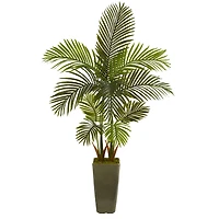 5ft. Areca Palm Tree in Green Planter 