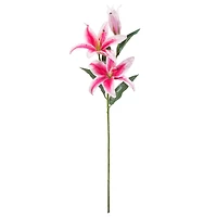 12 Pack: Hot Pink Casablanca Lily Stem by Ashland®