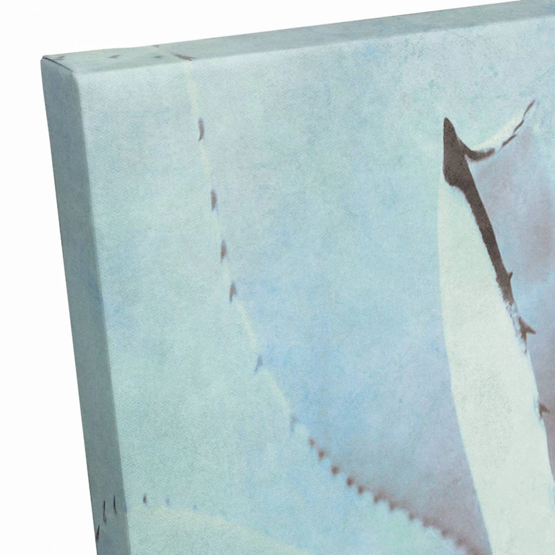 Green Succulent 20" x 16" Canvas Wall Art