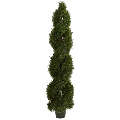 6ft. Potted Double Pond Cypress Spiral Topiary Tree