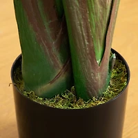 11ft. Artificial Travelers Palm Tree