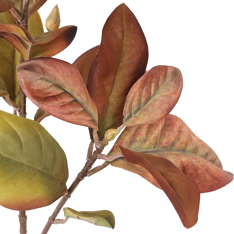 37" Brown Magnolia Leaf Stem by Ashland®