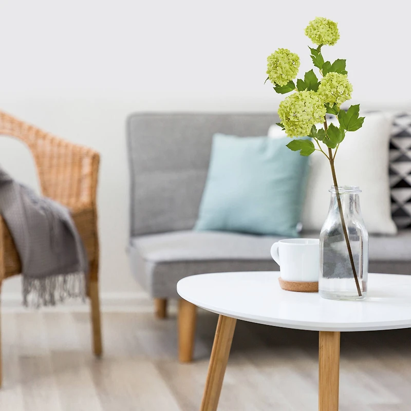 Green Snowball Hydrangea Stem, 3ct.