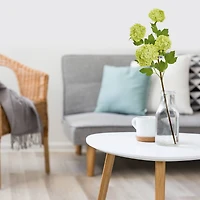 Green Snowball Hydrangea Stem, 3ct.