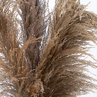 2.5ft. Dried Natural Pampas Arrangement in Ceramic Vase