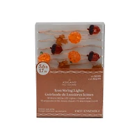 18ct. Warm White LED Fall Icon String Lights by Ashland®
