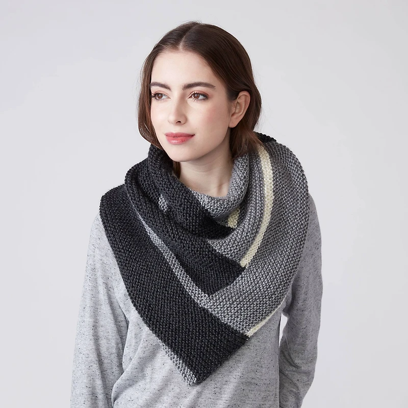 Caron® Simply Soft® Gray Heather Yarn
