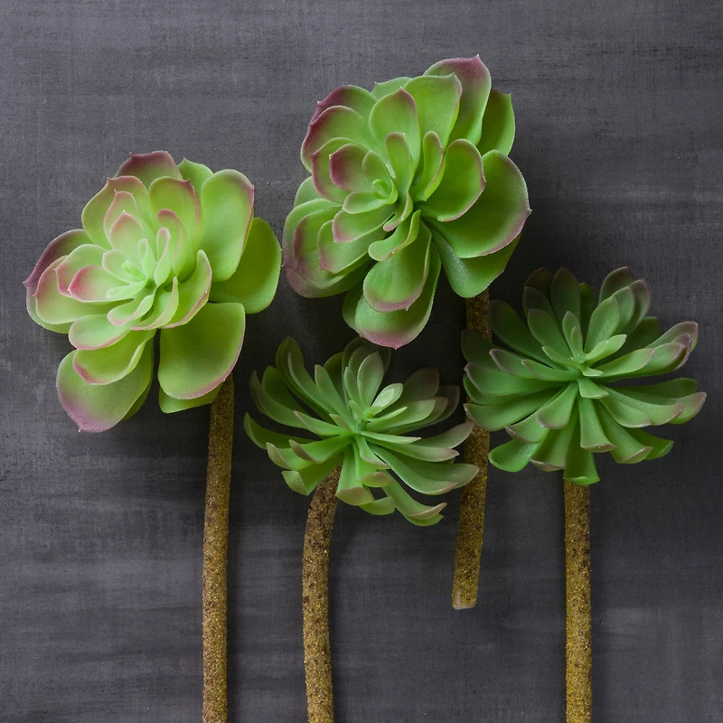 12 Pack: Assorted Red Tipped Succulent Pick by Ashland®