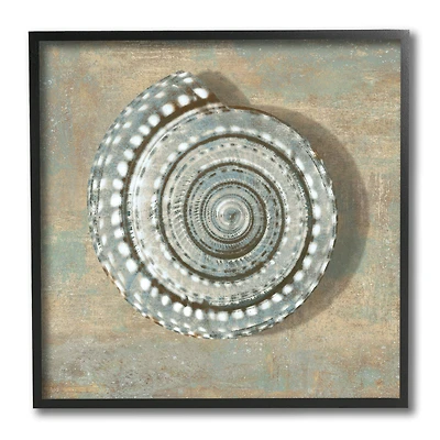 Stupell Industries Nautical Spiral Shell Vintage Coastal Muted Neutral, 12" x 12"