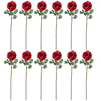 12 Pack: Dark Red Princess Rose by Ashland®