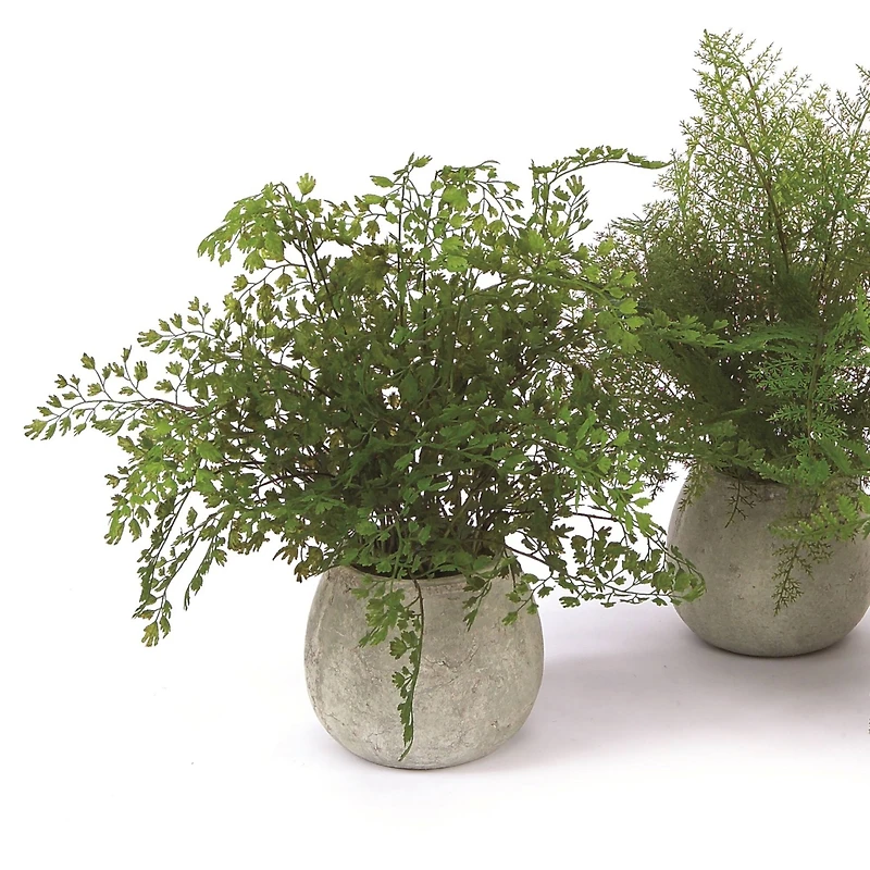 14" Potted Fern Plant in Gray Pot Set