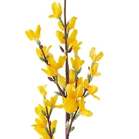 12 Pack: Yellow Forsythia Branch Spray by Ashland®