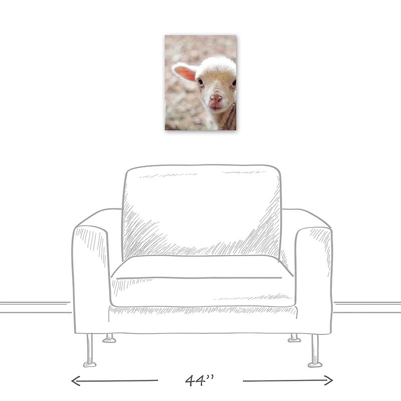 Baby Lamb 12" x 16" Canvas Wall Art