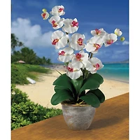 2ft. Double Moth Orchid Silk Flower Arrangement
