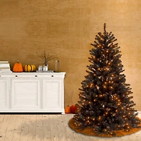 4.5ft. Pre-Lit North Valley® Black Spruce Artificial Christmas Tree, Clear Lights