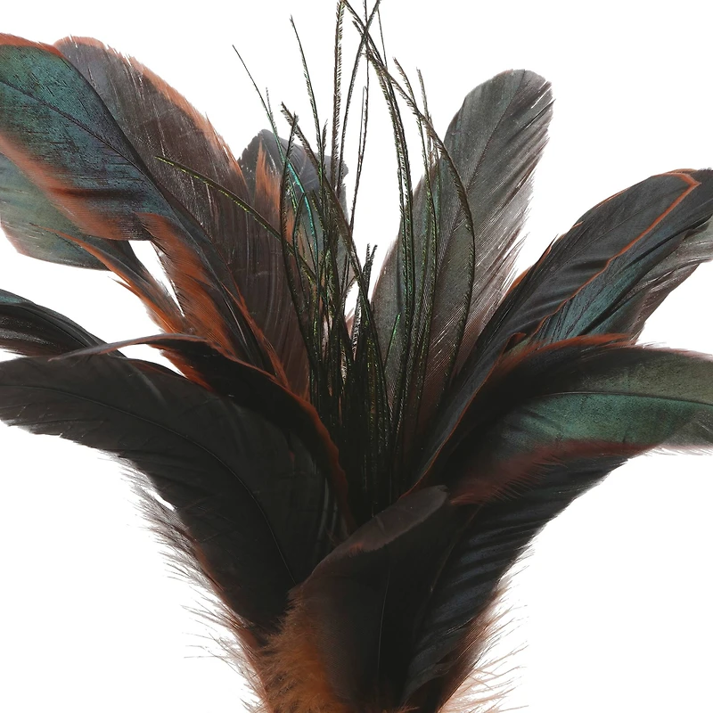 Chocolate Peacock Feather Pick by Ashland®