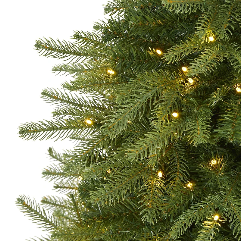 4ft. Pre-Lit Vancouver Fir Artificial Christmas Tree, Clear LED Lights