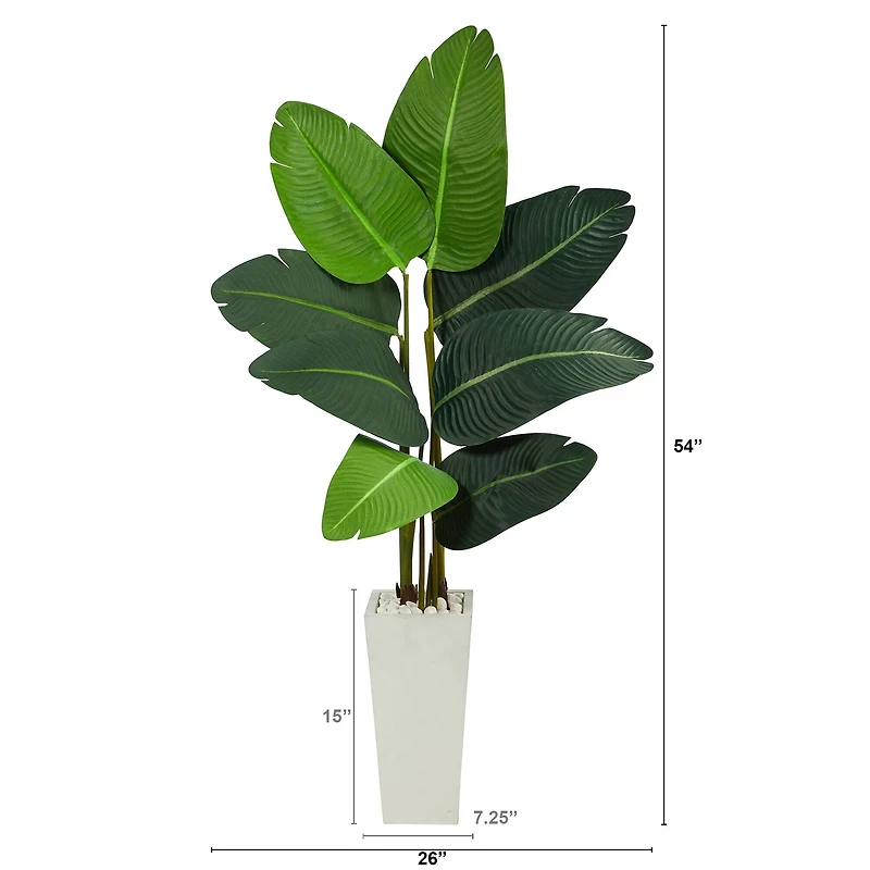 4.5ft. Travelers Palm Tree in White Planter