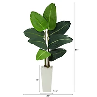 4.5ft. Travelers Palm Tree in White Planter