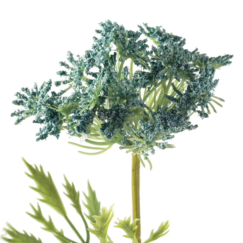 Blue Queen Anne's Lace Stem by Ashland®