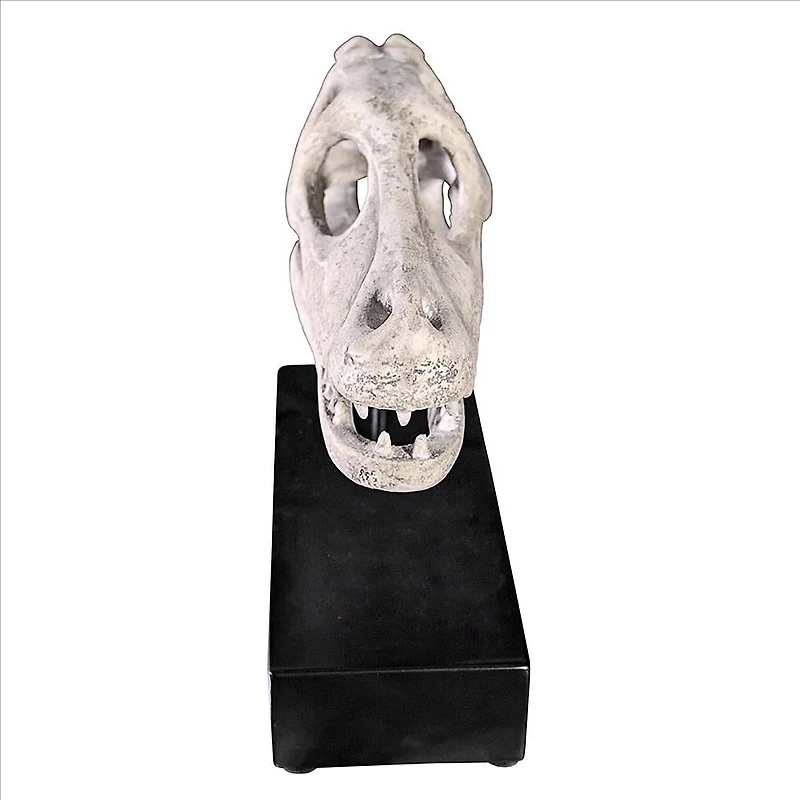 Design Toscano 10.5" Velociraptor Dinosaur Skull Fossil Replica Statue