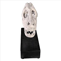 Design Toscano 10.5" Velociraptor Dinosaur Skull Fossil Replica Statue