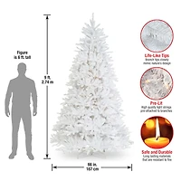 9ft. Pre-Lit Dunhill® White Fir Artificial Christmas Tree, Clear Lights
