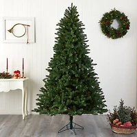 7.5ft. Pre-Lit Rembrandt Artificial Christmas Tree, Clear Lights