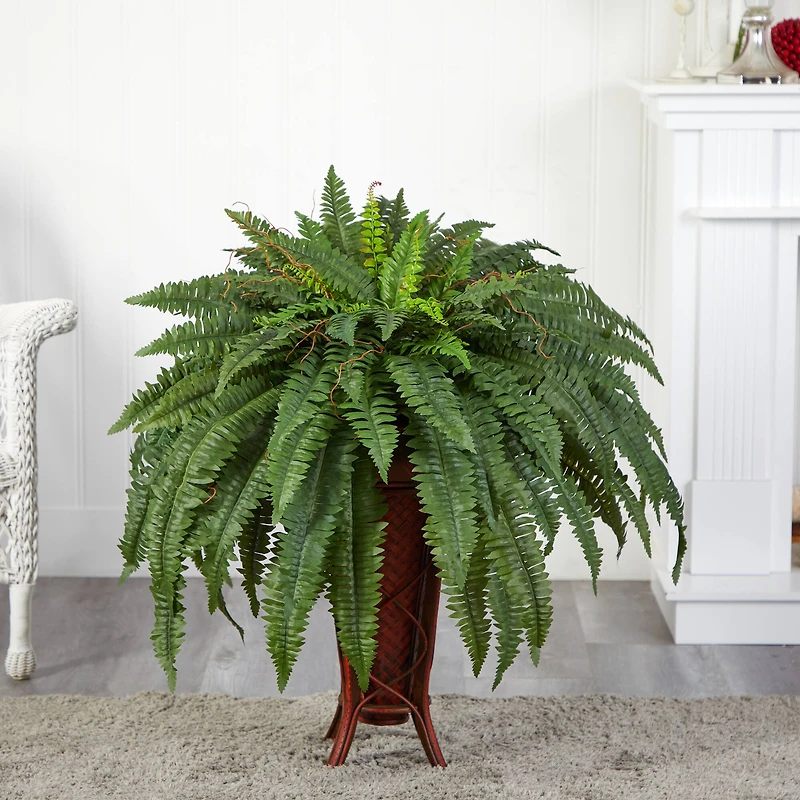 3ft. Boston Fern Plant in Stand