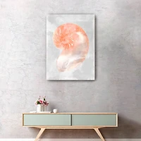 Coral Shell II Canvas Giclee