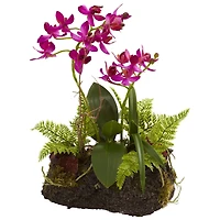 10" Orchid Island Arrangement, 2ct.
