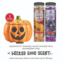 Scentiscles Pumpkin Warmer, Scentfetti Witch's Berry Brew & Pumpkin 'n Cider, 3 pack 