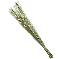 40" Green Floral Bouquet Branch Natural Foliage with Grass Stems
