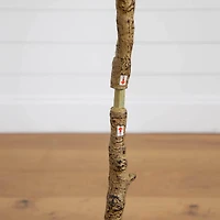 4ft. Artificial Audrey Ficus Tree