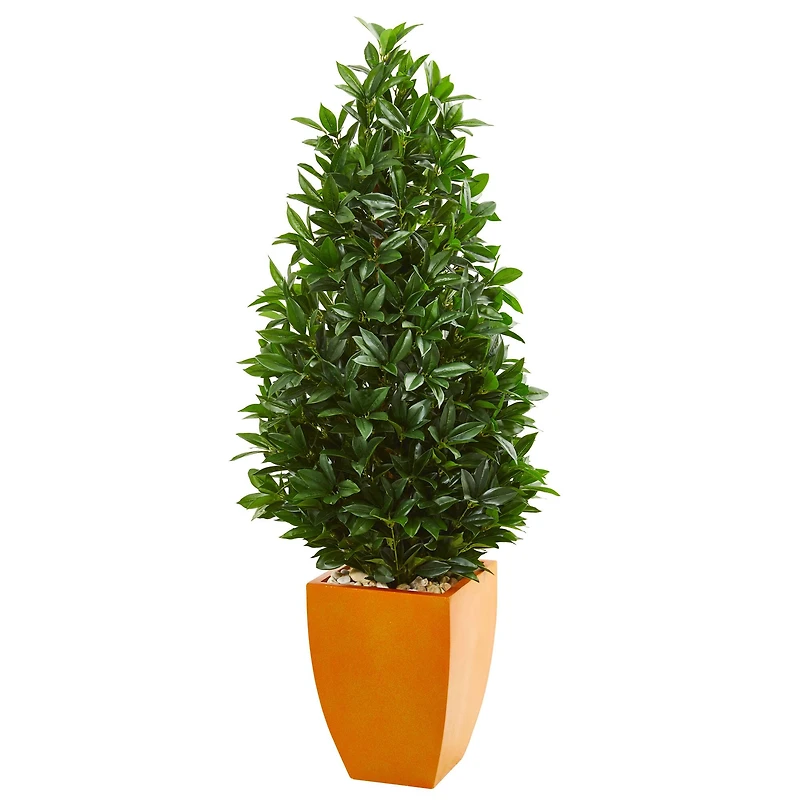 5ft. Bay Leaf Topiary Tree in Orange Planter