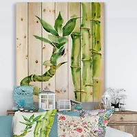 Designart - Bamboo Branches In The Forest VI