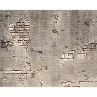 Wall Rogues Broken Concrete Wall Mural