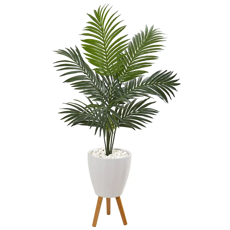 4.5ft. Kentia Palm Tree In White Planter With Legs