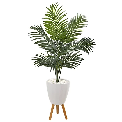 4.5ft. Kentia Palm Tree In White Planter With Legs