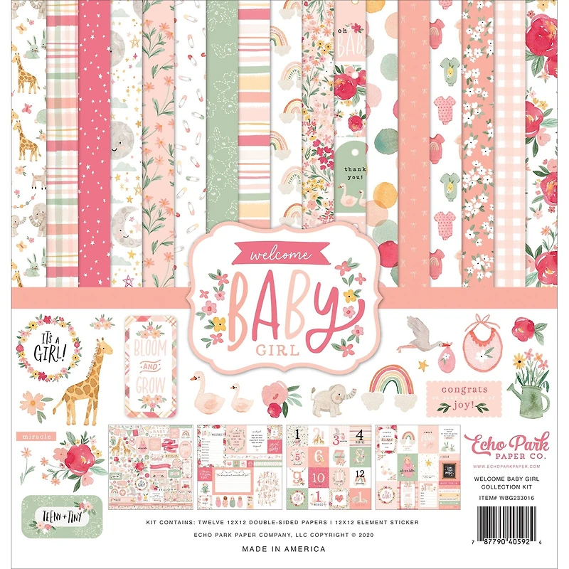 Echo Park Collection Kit 12"X12"-Welcome Baby Girl