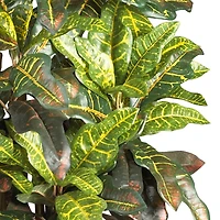 3ft. Potted Croton Tree