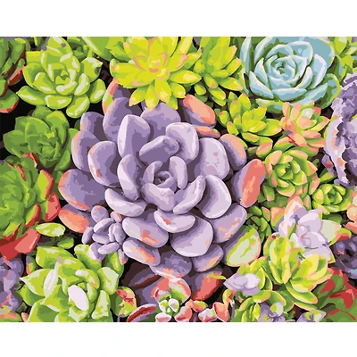 Succulents Paint-by-Number Kit by Artist's Loft®