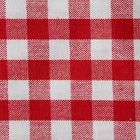 DII® Red & White Dishtowel Set