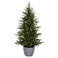3.5ft. Pre-Lit Belgrade Pine Artificial Christmas Tree, Clear Dura-Lit® LED Lights